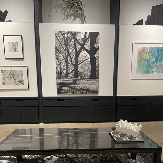 Month of Renewal Open Exhibitions