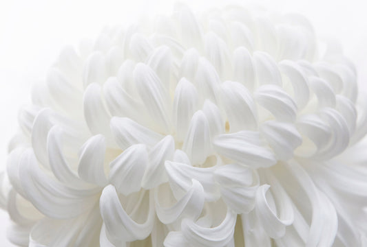 Urban Nature 越谷喜隆 写真展 - Integrity