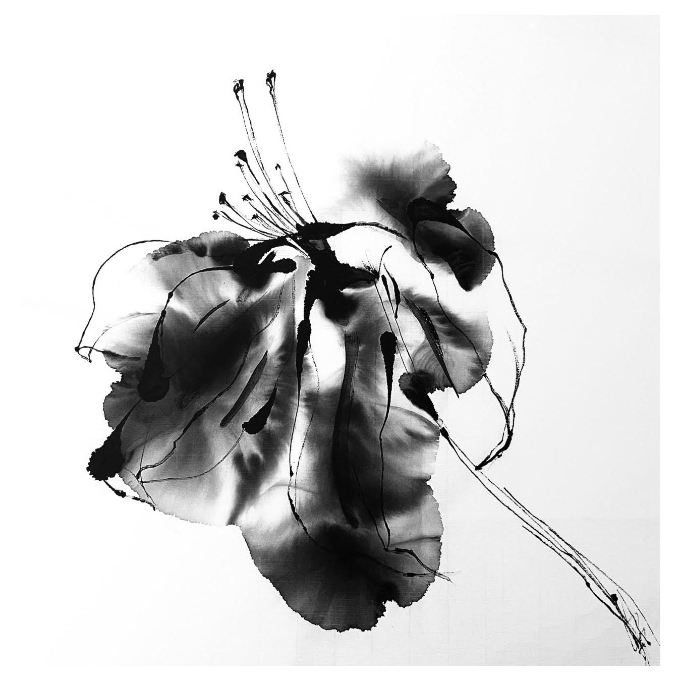 墨アブストラクト FK-2 ( 墨の華Ⅱ / Sumi no Hana )