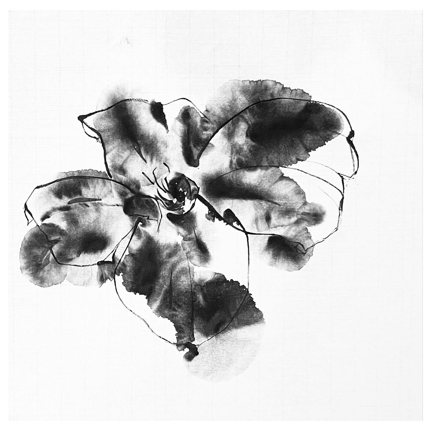 墨アブストラクト FK-5