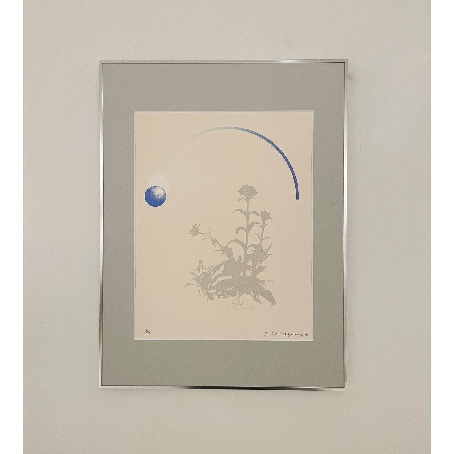 Color / Malene Wagner Collection