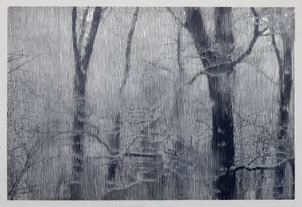Fragmentary #1