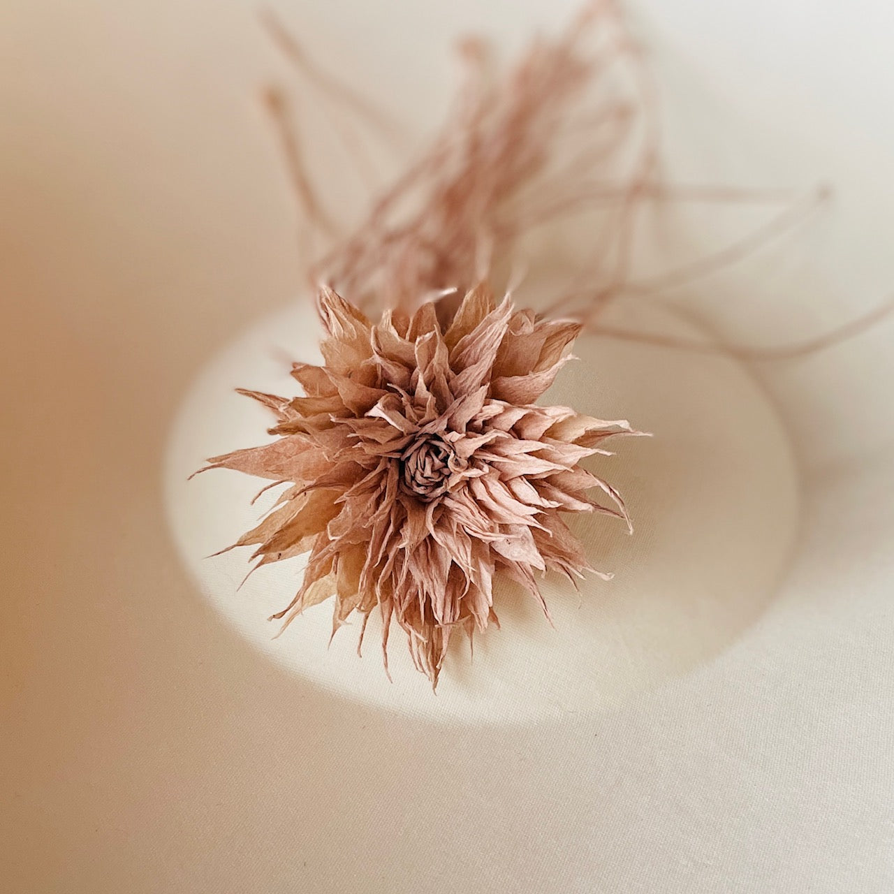 和紙花_草木染_ガマズミ+なつはぜ