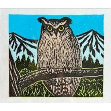 Owl