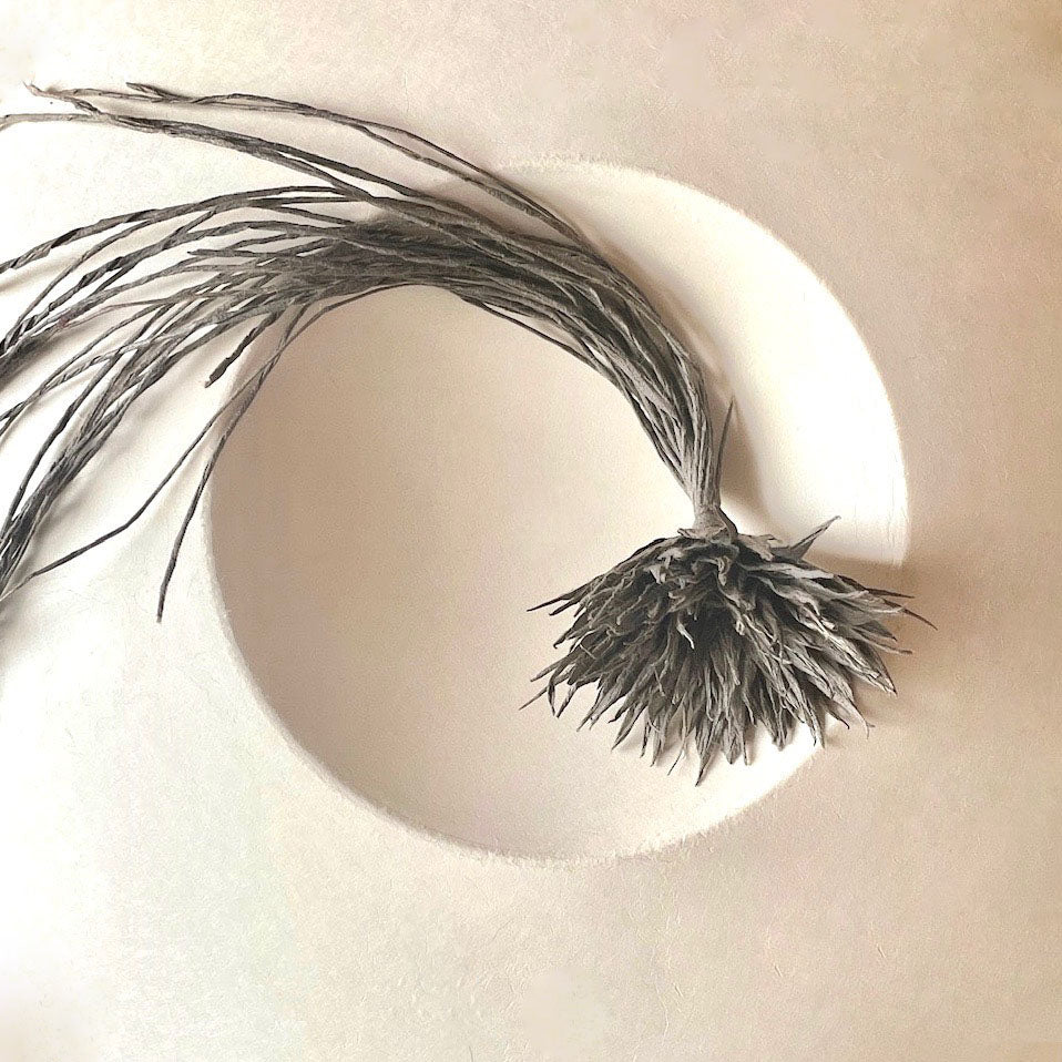 和紙花_草木染_ログウッド