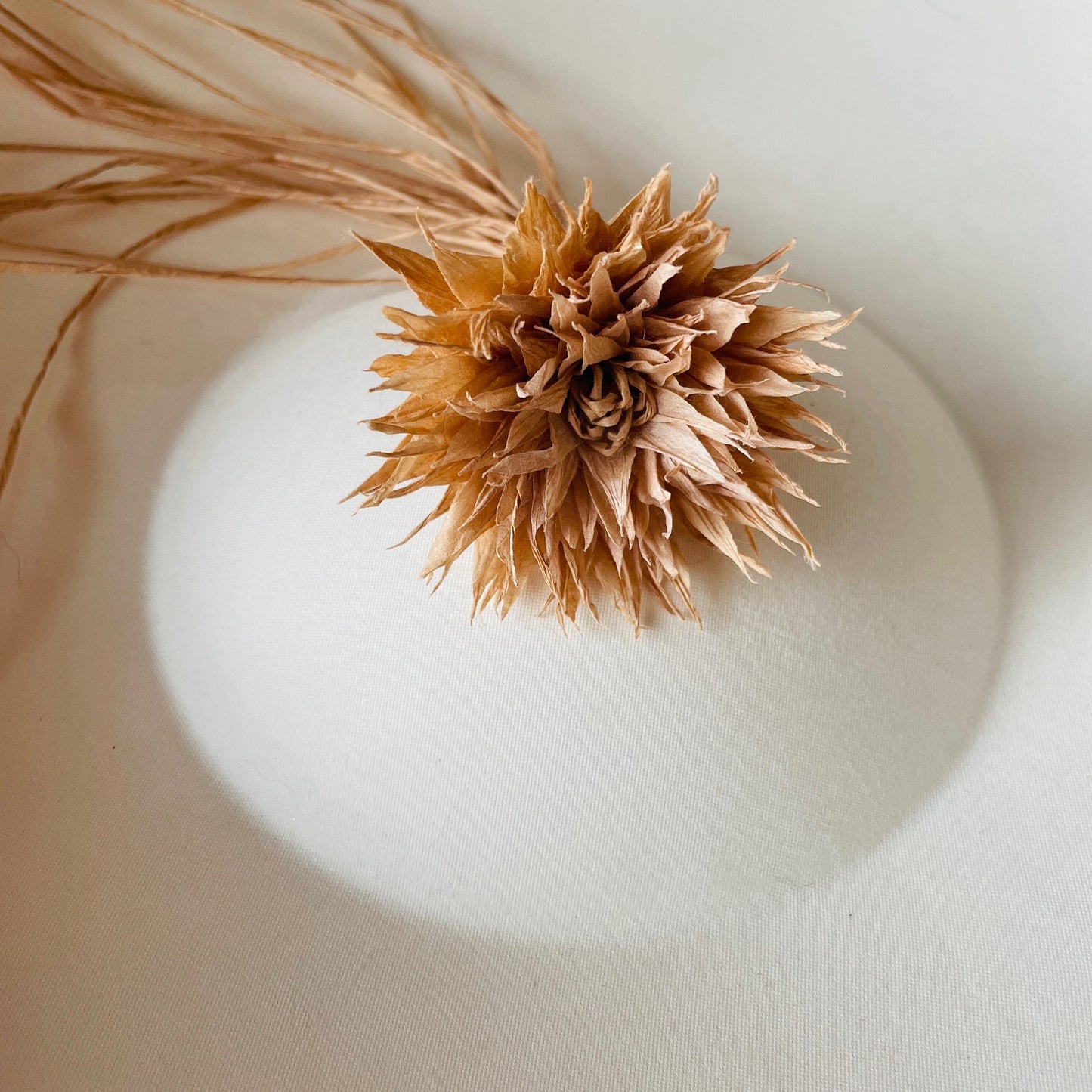 和紙花_草木染_サクラ