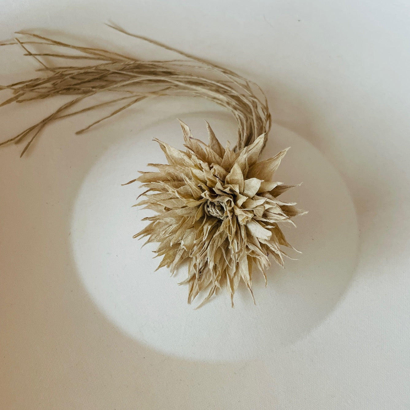 和紙花_草木染_たけに草