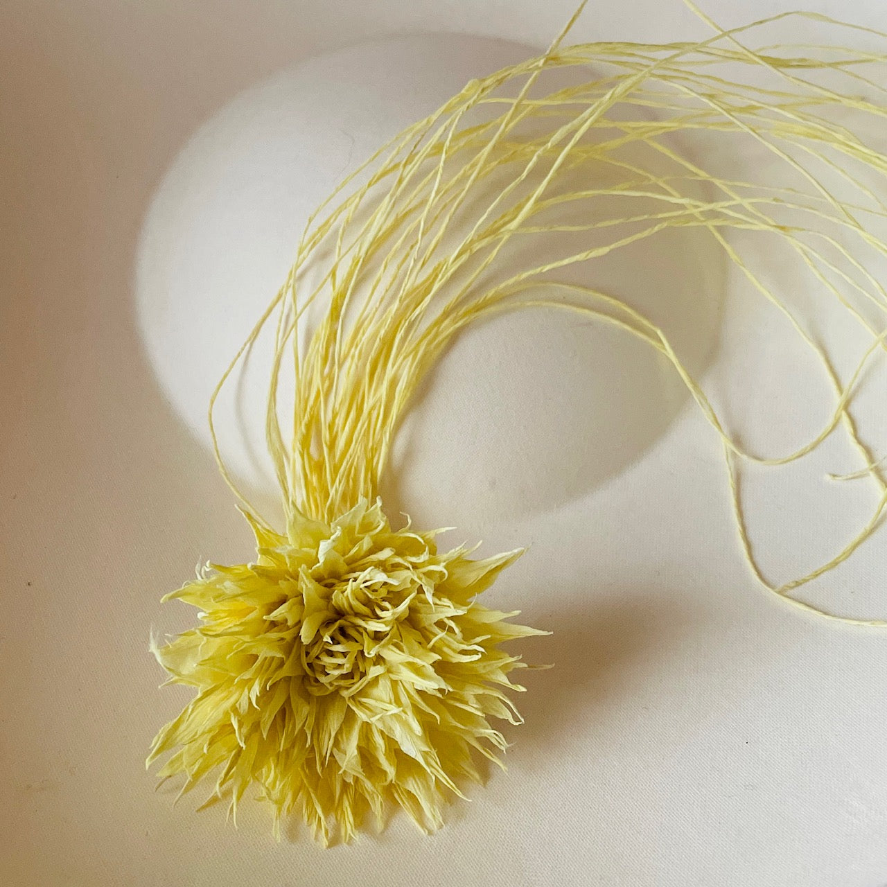 和紙花_草木染_ うこん