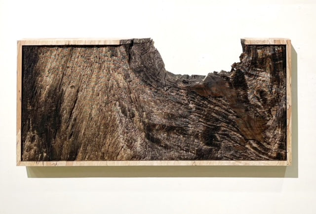 Excavation 発掘 04