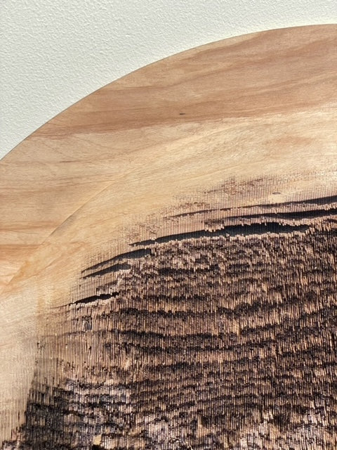 Excavation 発掘 05