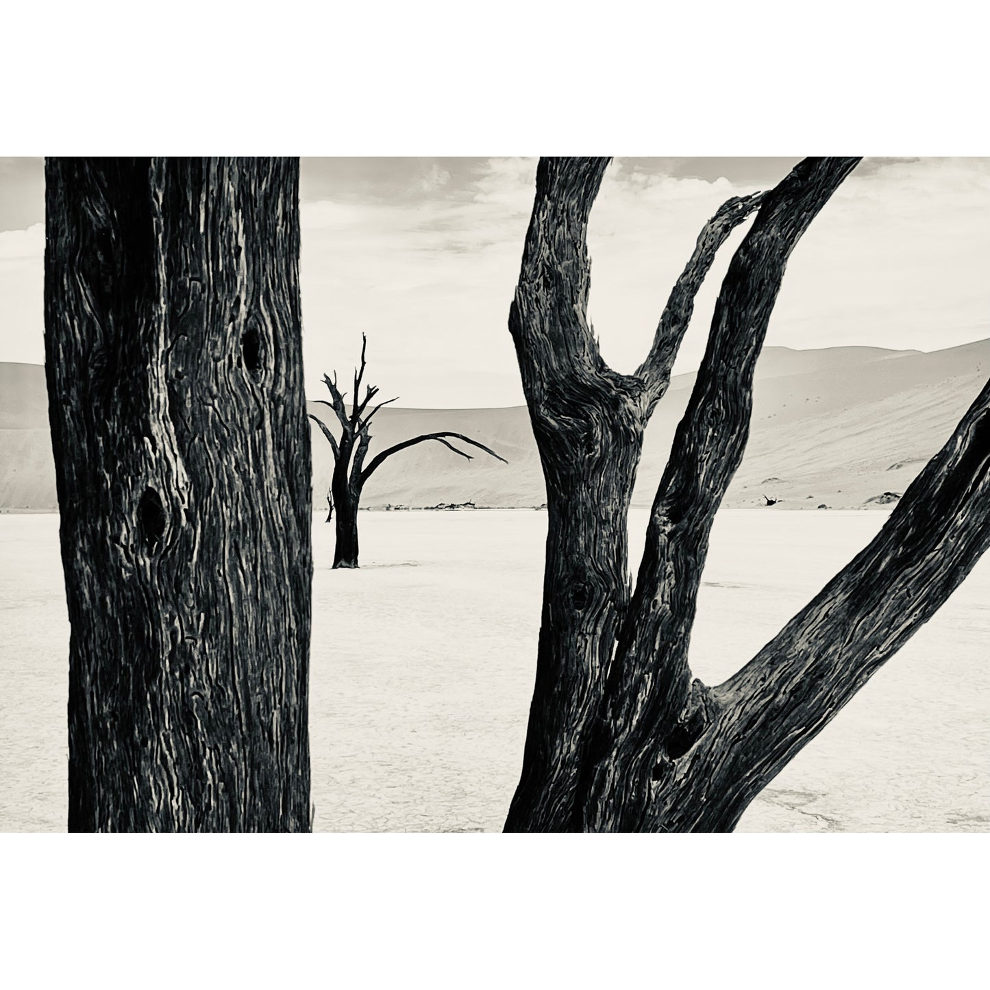 Sossusvlei Namibia