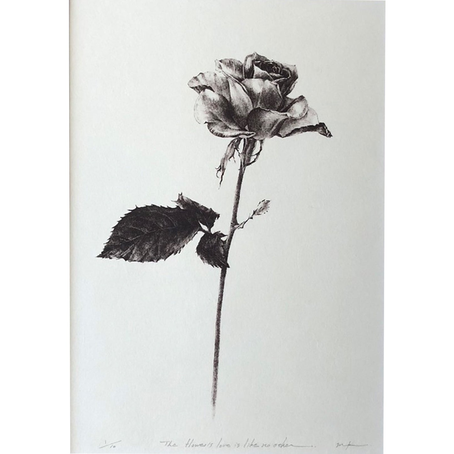 The flower's love is like no other(額装なし)