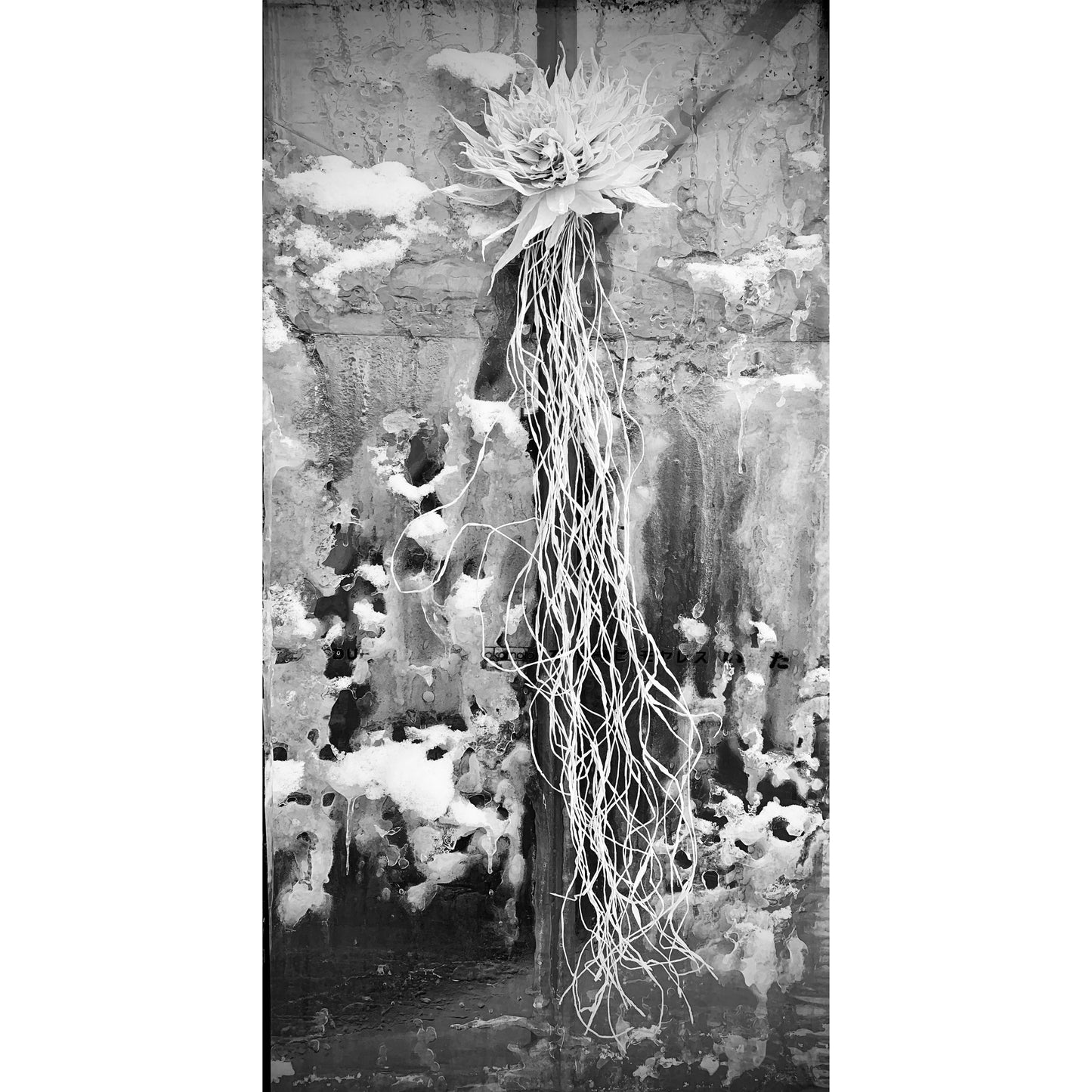 Maki's Washi Flower Study #6 (Long Size)