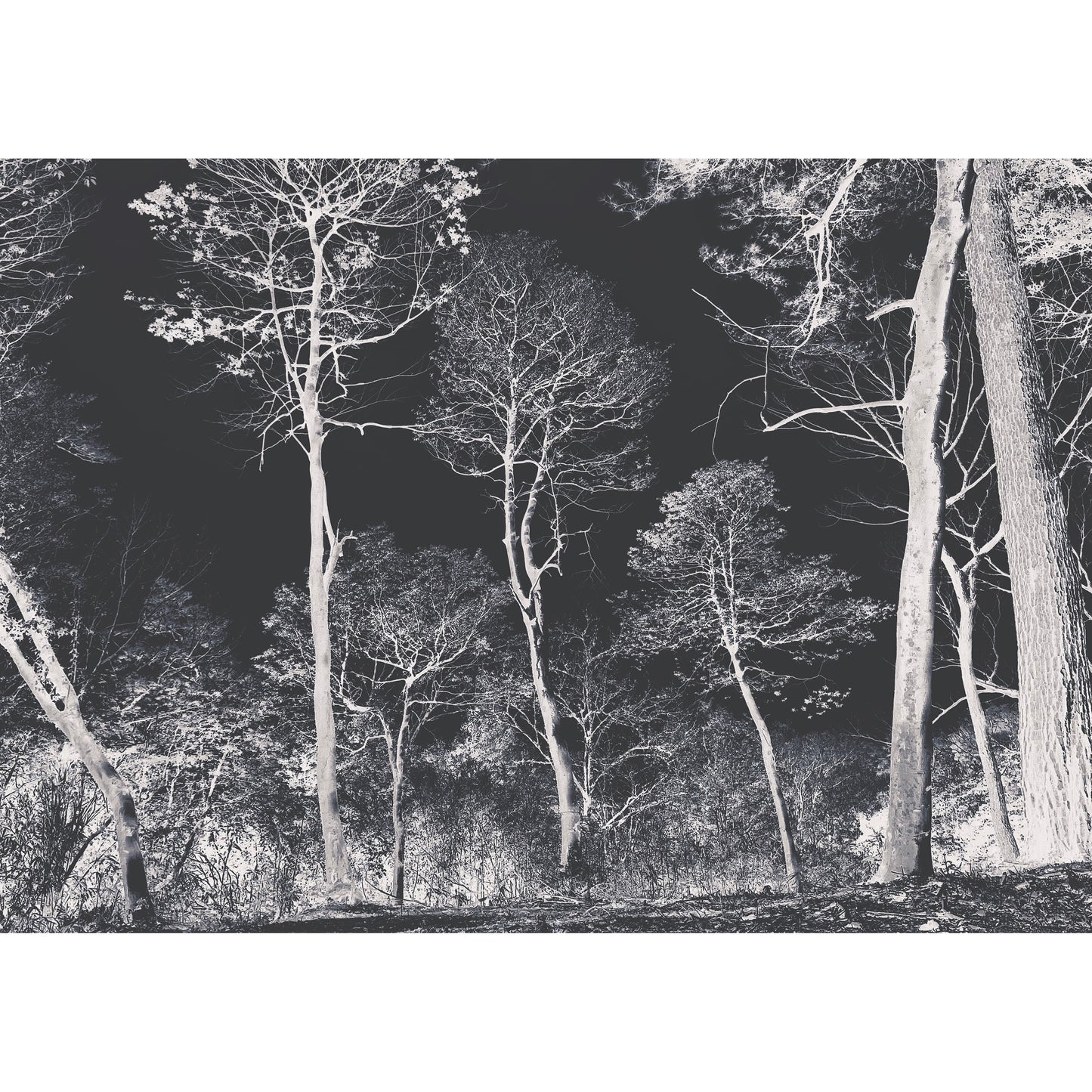 Yukayama N
