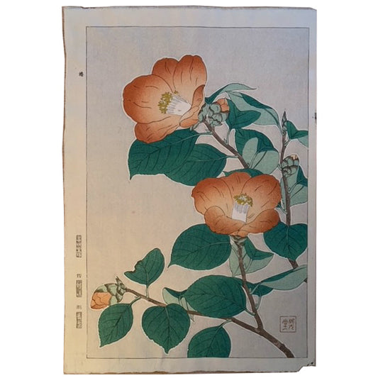 Dahlia / Malene Wagner Collection