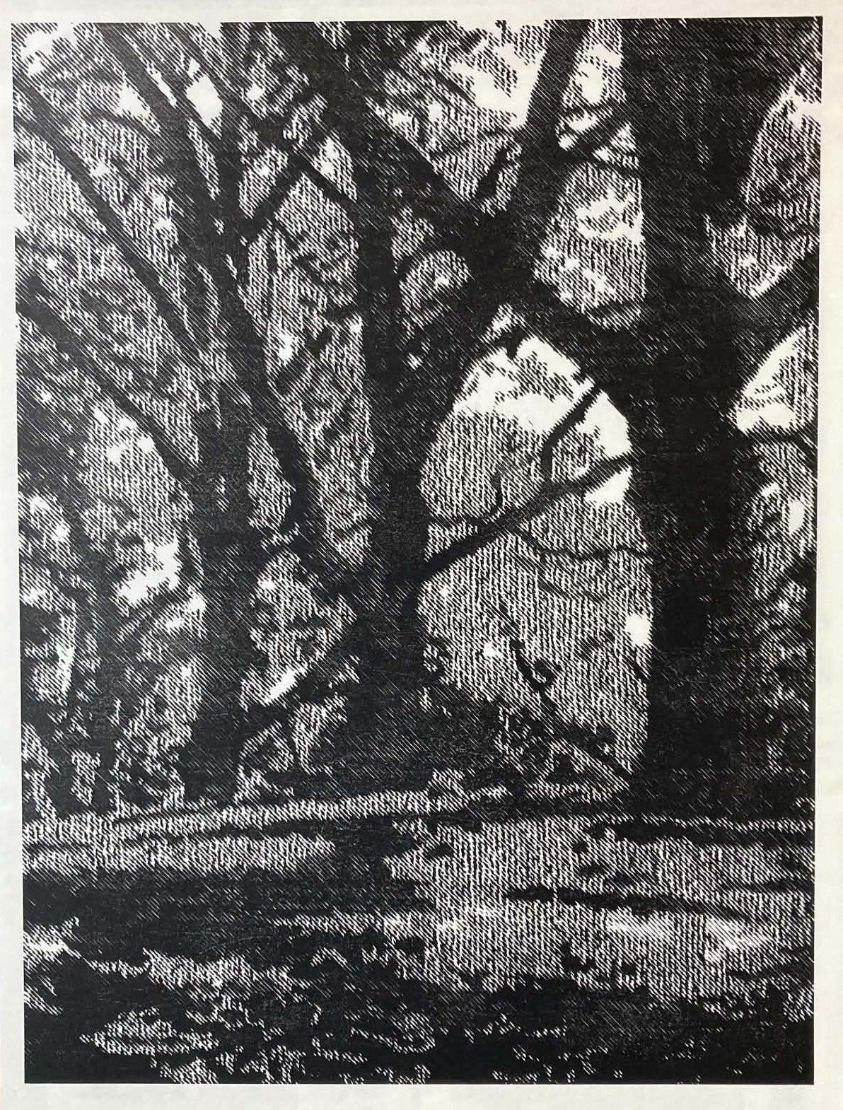 Central Park prints