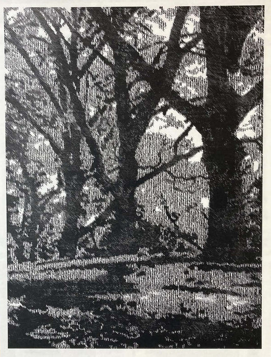 Central Park #2