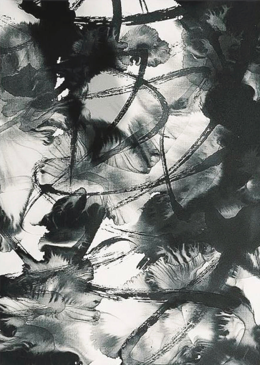 Sumi Abstract FB-2