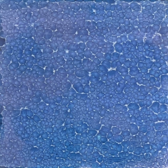 ARITILE アリタイル / Madonna