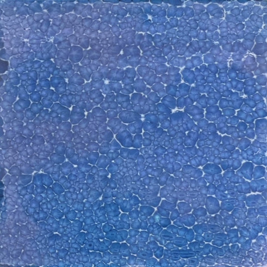 ARITILE アリタイル / Madonna