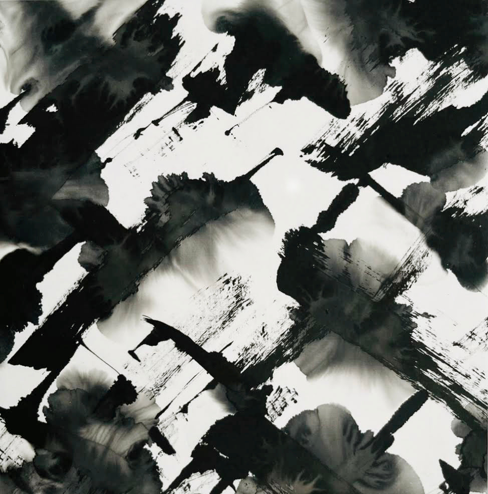 Sumi Abstract PB-4