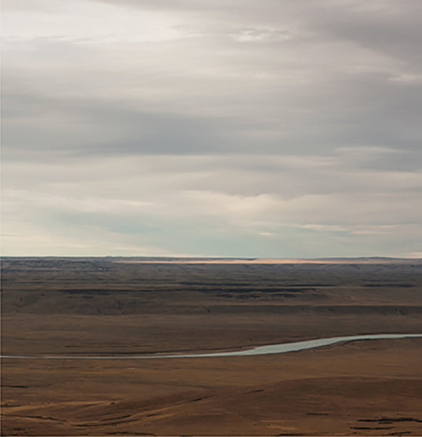 Patagonia R