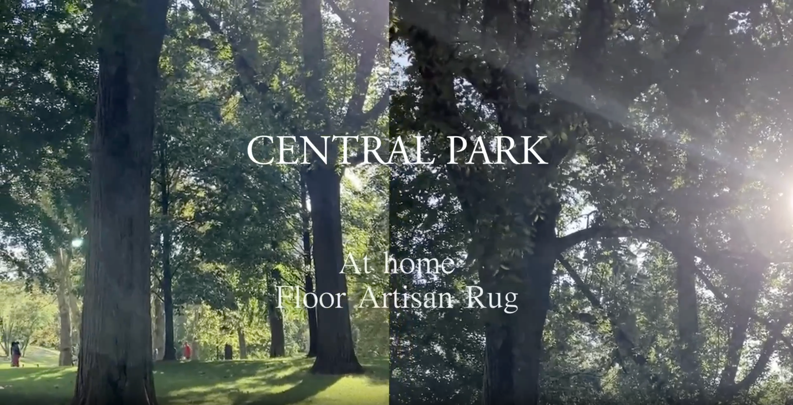 動画を読み込む: The story of how the Central Park Art Rug was ceated.