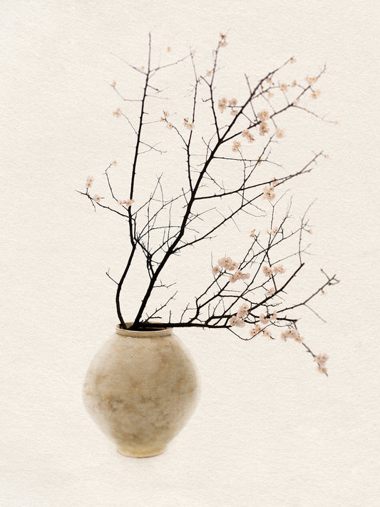 The Things - The Moon, The Flowers