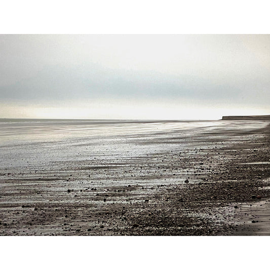 Atlantic Argentine