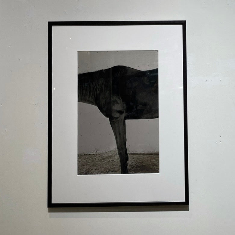 Soma's Samurai Black Horse