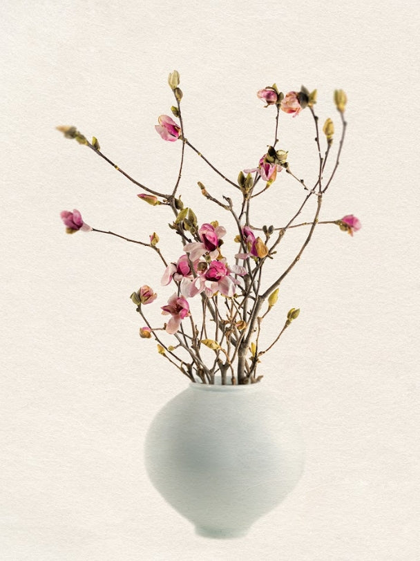 The Things - The Moon, The Magnolia