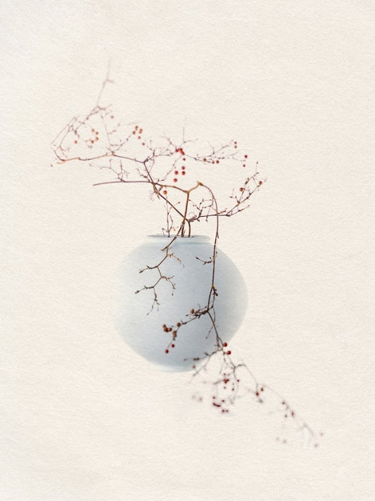The Things - The Moon The Wild Rose