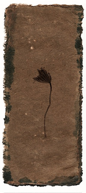 winter lotus alone 01